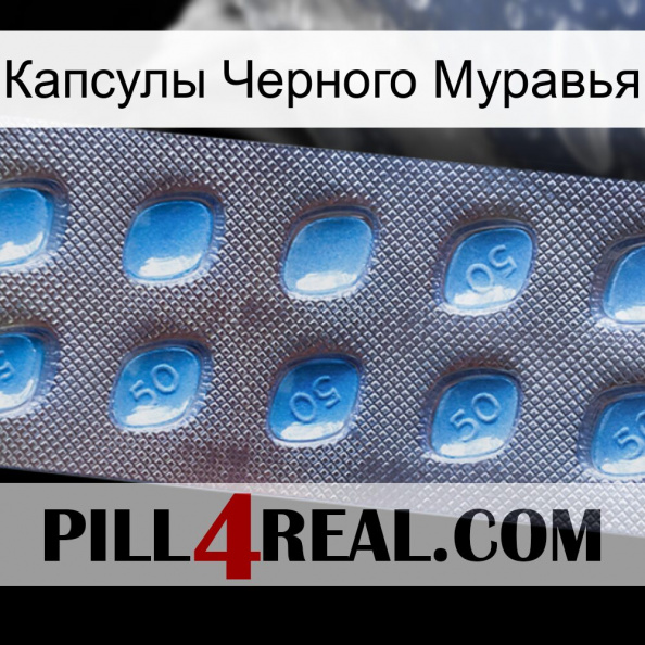 Капсулы Черного Муравья viagra3.jpg